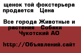 щенок той-фокстерьера продается › Цена ­ 25 000 - Все города Животные и растения » Собаки   . Чукотский АО